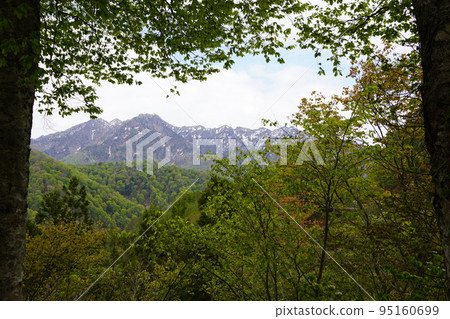 在長野市木佐,有一個臭菖蒲的聚居地Okususobana自然公園。 在長野市木佐,有一個臭菖蒲的聚居地Okususobana自然公園。 95160699