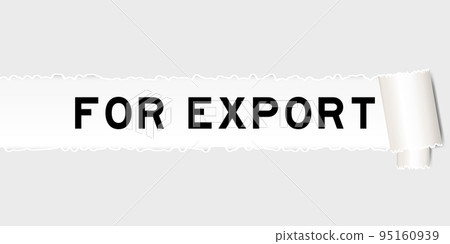 Ripped gray paper background that have word for export under torn part 95160939