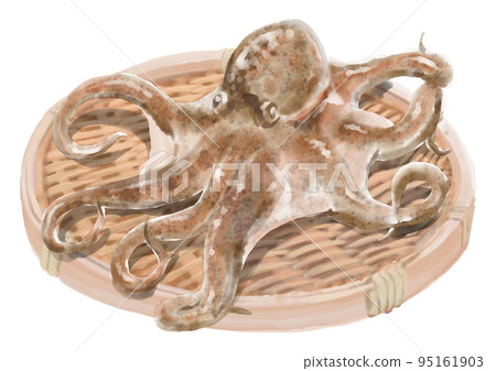 Zarumori octopus 01 Zarumori octopus 01 95161903