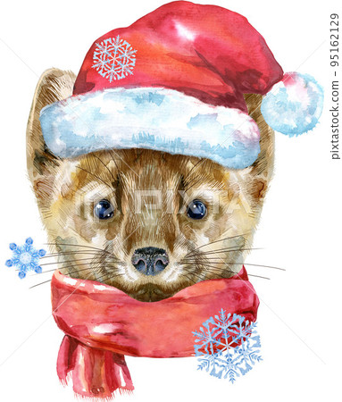 Watercolor portrait of a sable with Santa hat and scarf Watercolor portrait of a sable with Santa hat and scarf 95162129