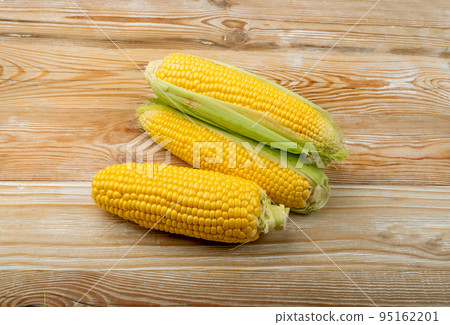 Sweet Corn Ears on Wooden Desk Sweet Corn Ears on Wooden Desk 95162201