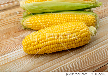 Sweet Corn Ears on Wooden Desk 95162202