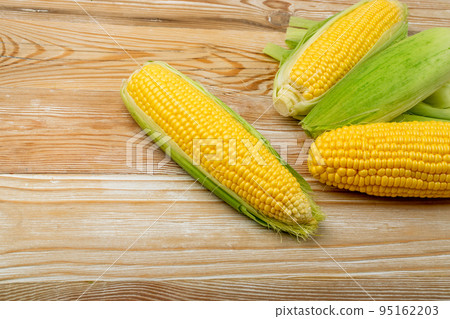Sweet Corn Ears on Wooden Desk Sweet Corn Ears on Wooden Desk 95162203