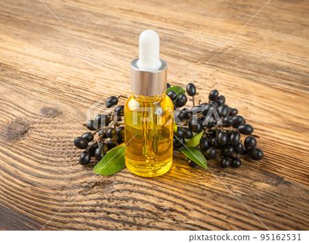 Black Elderberry Oil Isolated, Sambucus Berries, Ripe Danewort, Elder berry on white background 95162531