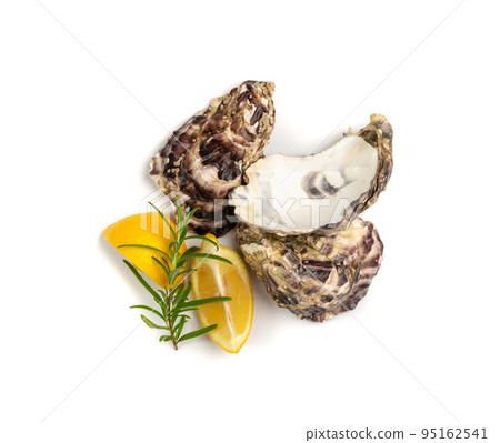 Empty Oyster Shell Isolated, Eaten Mollusc Empty Oyster Shell Isolated, Eaten Mollusc 95162541