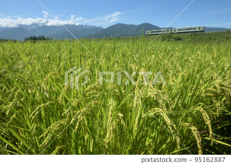 Kobuchisawa-cho, Hokuto City, an inbound train going along an embankment with harvested rice fields Kobuchisawa-cho, Hokuto City, an inbound train going along an embankment with harvested rice fields 95162887