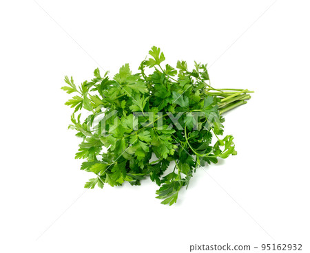Parsley Leaves Isolated 95162932