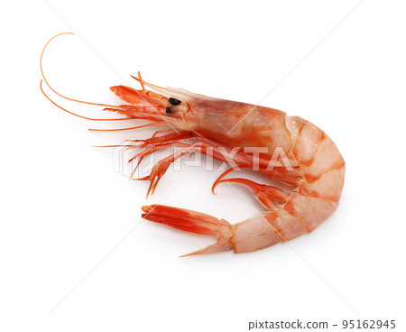 Hikari Chihiro Shrimp 95162945