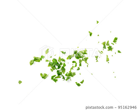Chopped Parsley Leaves Isolated Chopped Parsley Leaves Isolated 95162946
