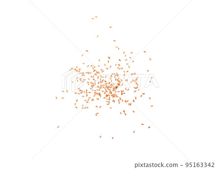 Plantago Ovata Seeds Isolated, Psyllium Husk, Isabgol Ispaghula Plantago Ovata Seeds Isolated, Psyllium Husk, Isabgol Ispaghula 95163342
