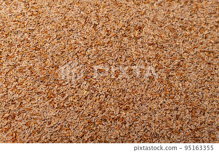 Plantago Ovata Seeds Isolated, Psyllium Husk, Isabgol Ispaghula 95163355