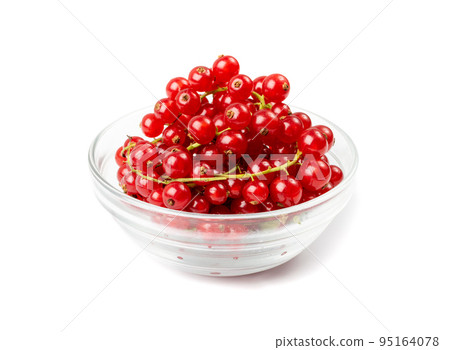 Red Currant Pile Isolated 95164078