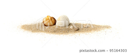 Seashells in Sand Pile Isolated 95164303
