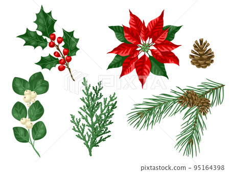 Set of winter plants. Merry Christmas and Happy New Year decoration. Holiday design. 95164398