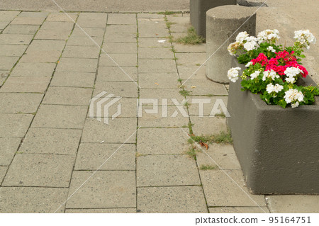 Modern Paved Path Modern Paved Path 95164751