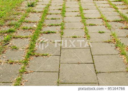 Modern Paved Path Modern Paved Path 95164766