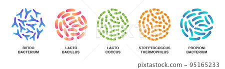 Set of probiotic bacteria. Bifidobacterium, lactobacillus, lactococcus, streptococcus thermophilus, propionibacterium. Good microorganisms. 95165233
