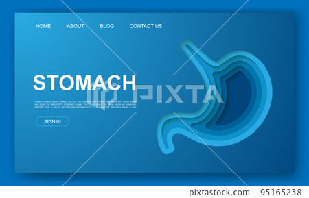 Stomach 3d paper cut website template. Digestive system paper cut out illustration. Organ anatomy symbol for landing page, advertising page. 95165238