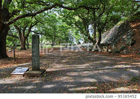 Saga / Nagoya Castle (Nagoya Castle Ruins) Sannomaru Saga / Nagoya Castle (Nagoya Castle Ruins) Sannomaru 95165452