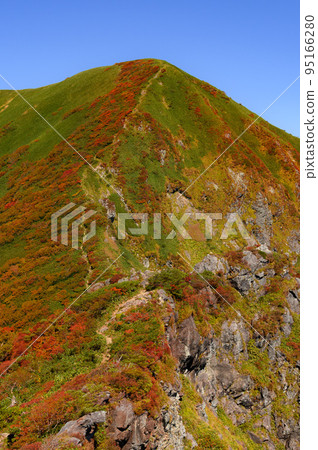 The ridgeline leading to Mt. Ichinokura, the Tanigawa mountain range in autumn colors (from near Mt. Tanigawa) The ridgeline leading to Mt. Ichinokura, the Tanigawa mountain range in autumn colors (from near Mt. Tanigawa) 95166280