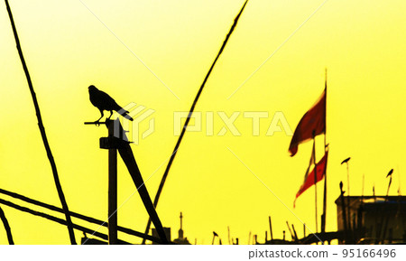 Silhouette of a crow Silhouette of a crow 95166496
