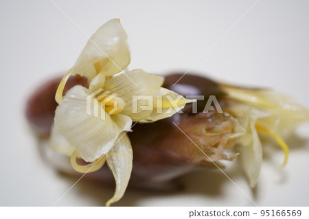 妙賀花開得很美 妙賀花開得很美 95166569