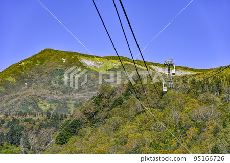 秋池高原和索道 秋池高原和索道 95166726