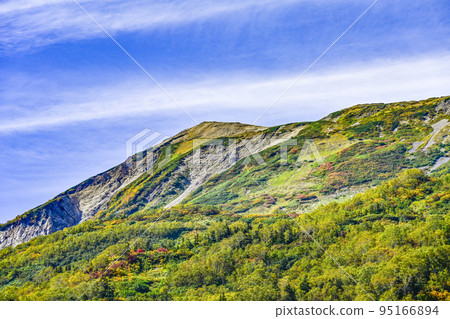 View from Ukishima Marsh, Tsugaike Nature Park with autumn colors 95166894