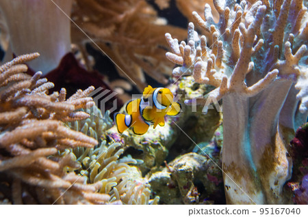 水族館很有趣 95167040