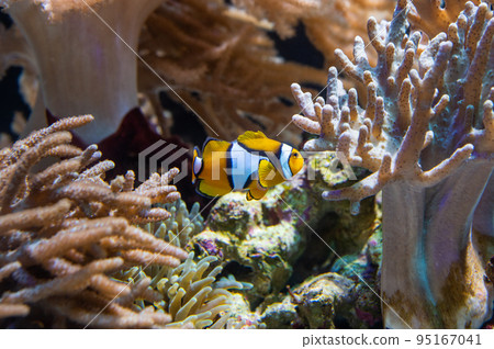 水族館很有趣 95167041