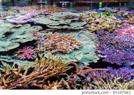 水族館很有趣 95167061
