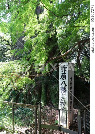 楠原八幡宮 楠原八幡宮 95167272