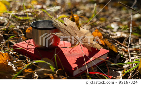 Thermos of hot tea red book and yellow fallen maple leaf in autumn. 95167324