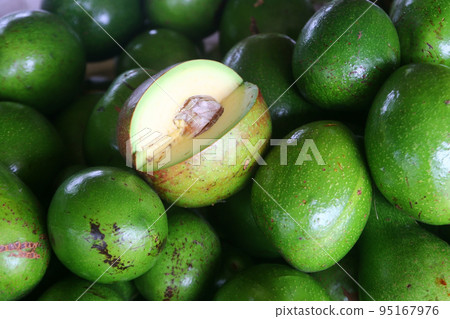 avocado palta guacamole fruit avocado palta guacamole fruit 95167976