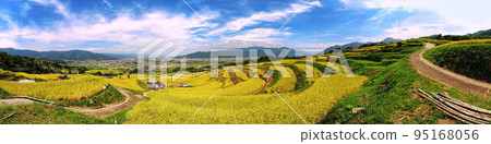 Autumn in Obasute Tanada 95168056