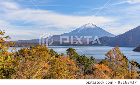 [山梨縣]美麗的紅葉、本栖湖和白雪覆蓋的富士山 95168437