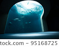 Aquarium 95168725
