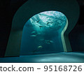 Aquarium 95168726