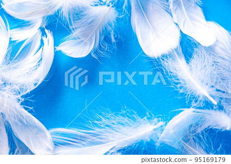 很多羽毛 很多羽毛 95169179