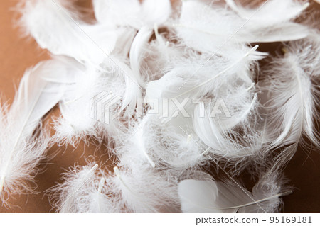 lots of feathers 95169181