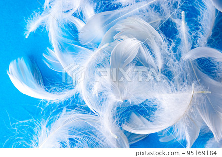 很多羽毛 很多羽毛 95169184