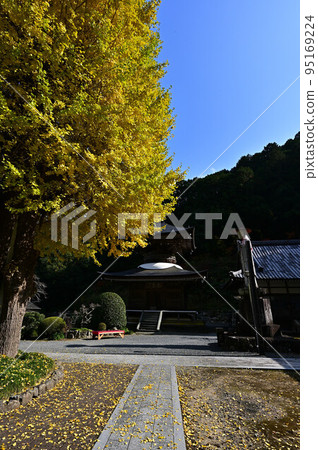 高生寺的宇藤觀音銀杏 高生寺的宇藤觀音銀杏 95169224
