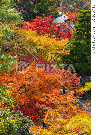 京都東山的秋天,有紅葉的今熊野觀音寺 京都東山的秋天,有紅葉的今熊野觀音寺 95169713