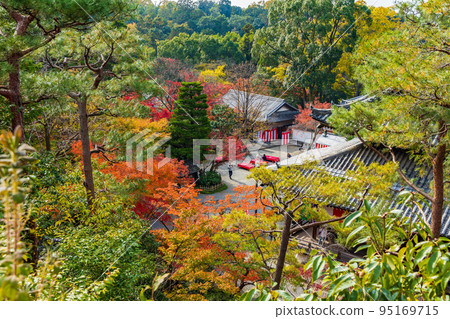 京都東山的秋天,有紅葉的今熊野觀音寺 京都東山的秋天,有紅葉的今熊野觀音寺 95169715