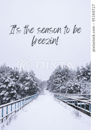 Its the season to be freezin Inspiration joke quote phrase Winter holiday landscape forest Dramatic view of snow-capped spruces on frosty day. New Year and christmas greeting card Vertical 95169727