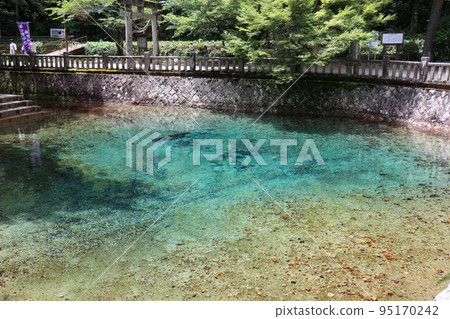 別府弁天池，山口縣，美礦市，釣魚池 95170242