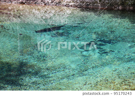 Beppu Benten Pond, Yamaguchi Prefecture, Mine City, fishing pond Beppu Benten Pond, Yamaguchi Prefecture, Mine City, fishing pond 95170243
