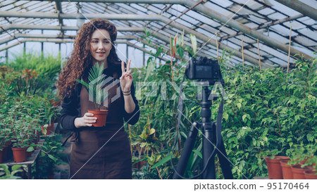 Young pretty woman owner of hothouse is recording video about gardening for her videoblog standing in greenhouse and holding pot flowers. People and botany concept. Young pretty woman owner of hothouse is recording video about gardening for her videoblog standing in greenhouse and holding pot flowers. People and botany concept. 95170464
