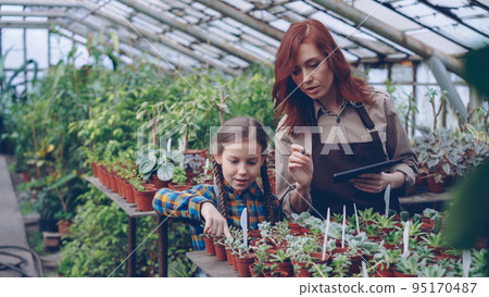Female greenhouse owner and her cute daughter are counting pot plants in workplace and working with tablet touching screen entering numbers. Family business concept. 95170487