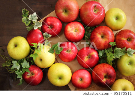 various apples (1) 95170511